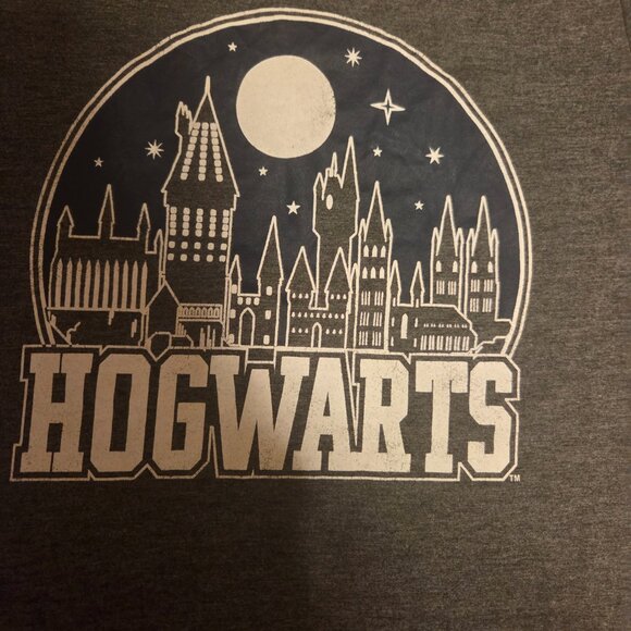 Harry Potter Wizarding World Hogwarts Women's Short Sleeve Gray Medium T-Shirt - Picture 4 of 6